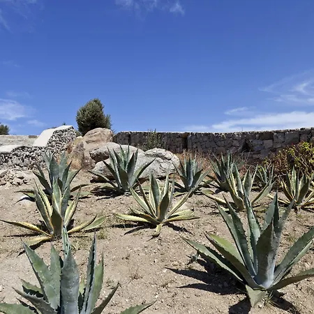 Ananea Mykonos - Adults Only 奥诺斯