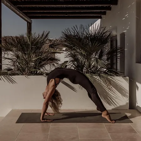 酒店 Ananea Mykonos - Adults Only 奥诺斯