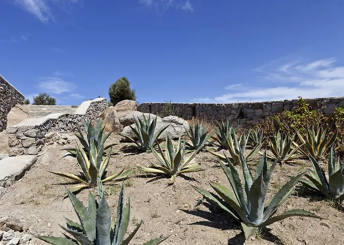 Ananea Mykonos - Adults Only Ornos (Mykonos)