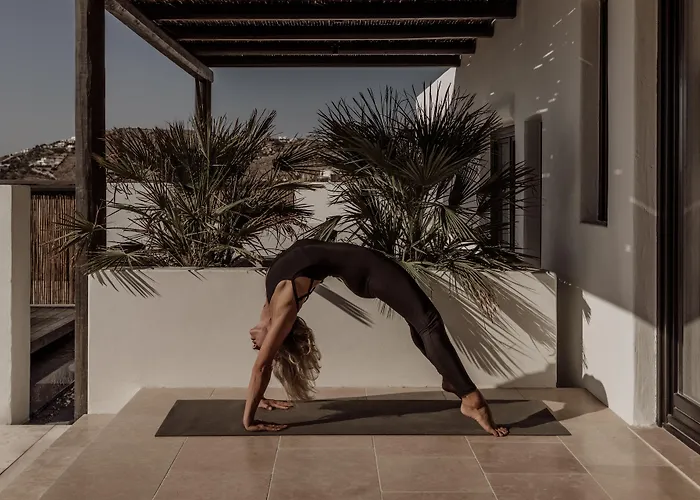 Ξενοδοχείο Ananea Mykonos - Adults Only Ορνός