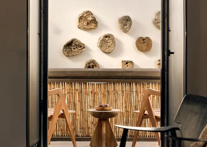 Ananea Mykonos - Adults Only