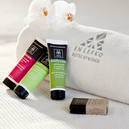 호텔 Ananea Mykonos - Adults Only 5*